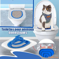 toilette_chat