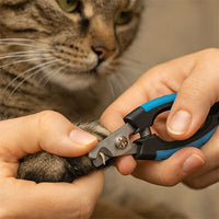 Coupe griffe Chat | SécuriCut chat doux