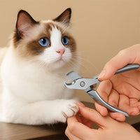 Coupe griffe chat | Professionnel chat doux