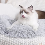 coussin-chat-gris-doux-FineDouceure