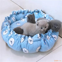 coussin-chaton-bleu-cachy