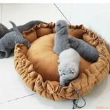 coussin-pour-chatons