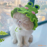 vetement chat | manteau chat | Teaucat™ chatdoux