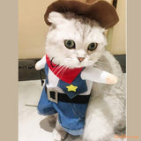 deguisement-halloween-chaton