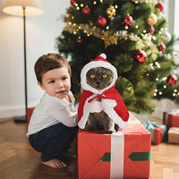 Déguisement pour Chat | HooCat chat doux