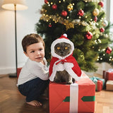 Déguisement pour Chat | HooCat chat doux