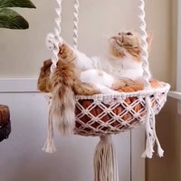Hamac pour chat | Suspendouce™