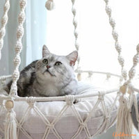 hamac-pour-chat-avec-coussin-gris-suspendouce