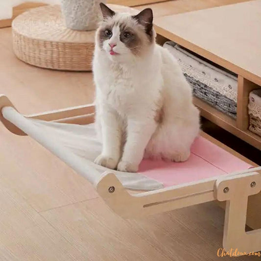 Hamac pour chat | HamCatâą chat doux