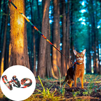 Harnais pour chat | Zigzag™ chat doux