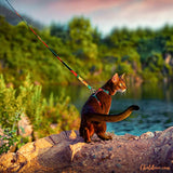 Harnais pour chat | Zigzag™ chat doux