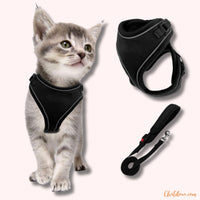 Harnais pour chat | HC chat doux