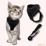 Harnais pour chat | HC chat doux