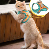 HARNAIS CHAT - HARNAIS CHAT VERTE ET ORANGE |  FunyWalk™ chat doux