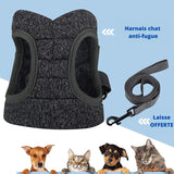 Harnais chat respirant pour un confort maximal | M2™ chat doux