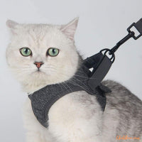 Harnais chat respirant pour un confort maximal | M2™ chat doux