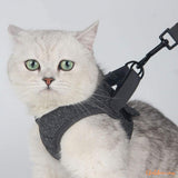 Harnais chat respirant pour un confort maximal | M2™ chat doux