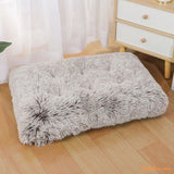 lit-pour-chat-chien-gris-triangris