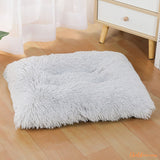 lit-pour-chat-gris-triangris