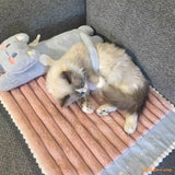 lit-pour-chat-jouet-KatCat