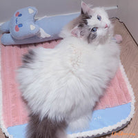 lit-pour-chat-mignon-KatCat