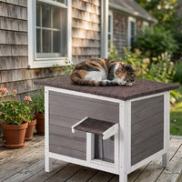 Niche exterieur pour Chat | Résistante Intempéries chat doux