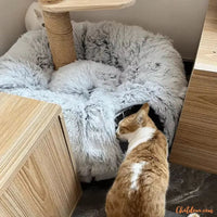 panier-chat-avec-tunnel-pour-chat