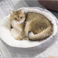 panier-chat-chaud
