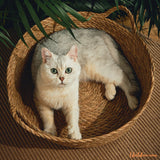 Panier chat osier | PanierNature™