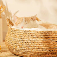 Panier chat osier | PanierNature™