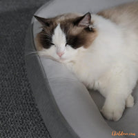 panier-pour-chat-pavo-bord-sureleve