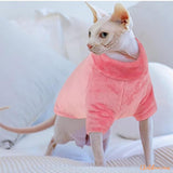 pull-pour-chat-sphynx