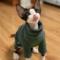 Pull pour chat | Pula chat doux