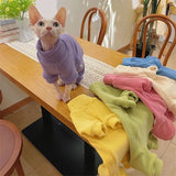 Pull pour Chat | Douillet chat doux