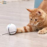Balle rotative pour chat | CatyBall™ chat doux