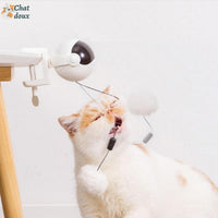 Jouet interactif à ball suspendu pour chat | FunnyBall™ chat doux