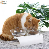 GAMELLE CHAT - GAMELLE SURELEVEE | Inclybol™ chat doux