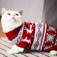 Pull pour chat | vetement pour chat - Puloch™ chat doux