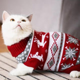 Pull pour chat | vetement pour chat - Puloch™ chat doux