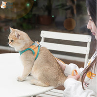 Harnais chat - Ensemble d'harnais avec laisse |  FunyWalk™ chat doux