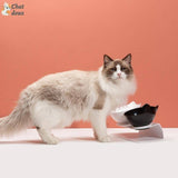 GAMELLE CHAT - GAMELLE SURELEVEE | Inclybol™ chat doux