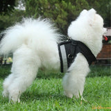 Harnais chat | harnais pour chat confortable chat doux