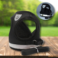 Harnais chat | harnais pour chat confortable chat doux