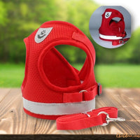 Harnais chat | harnais pour chat confortable chat doux