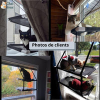 Hamac chat - Lit Suspendu | LuxyCat ™ chat doux