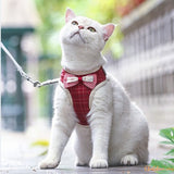 Harnais chat - Harnais avec papillon | Cutys™ chat doux