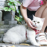 Harnais chat - Harnais avec papillon | Cutys™ chat doux