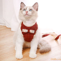 Harnais chat - Harnais avec papillon | Cutys™ chat doux