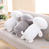 PELUCHE CHAT - CHAT EN PELUCHE - JOUET ENFANT | CHATOY™ chat doux