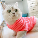 Tricot chaud pour chat | Pulocat™ chat doux